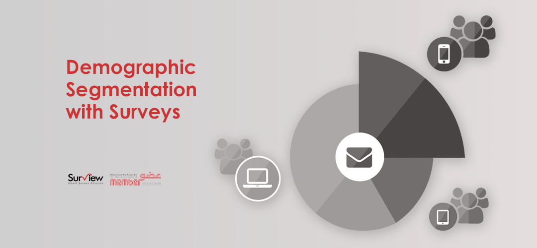 Demographic Segmentation with Surveys